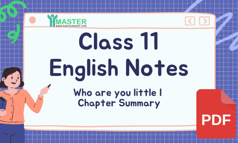 Who are you little I: Complete Summary & Class 11 English Notes